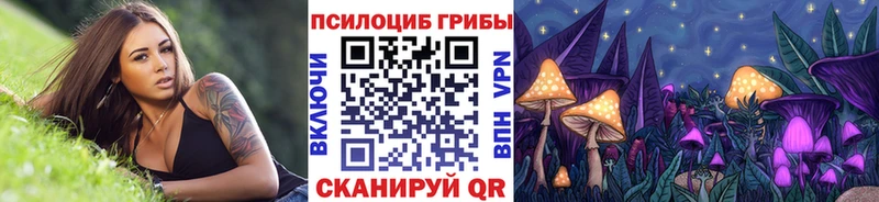 Купить где  Белёв  Псилоцибиновые грибы Magic Shrooms 
