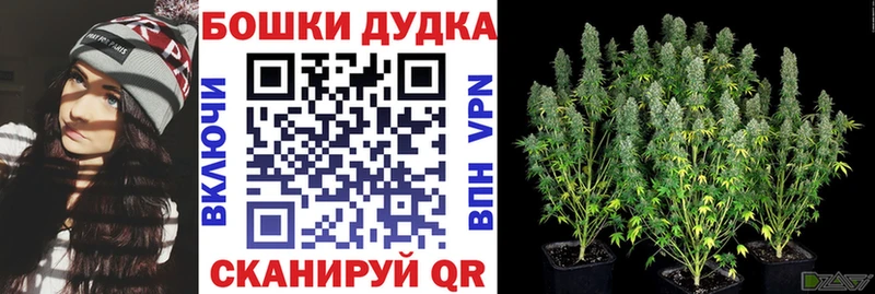 Бошки Шишки марихуана  Купить где  Белёв 
